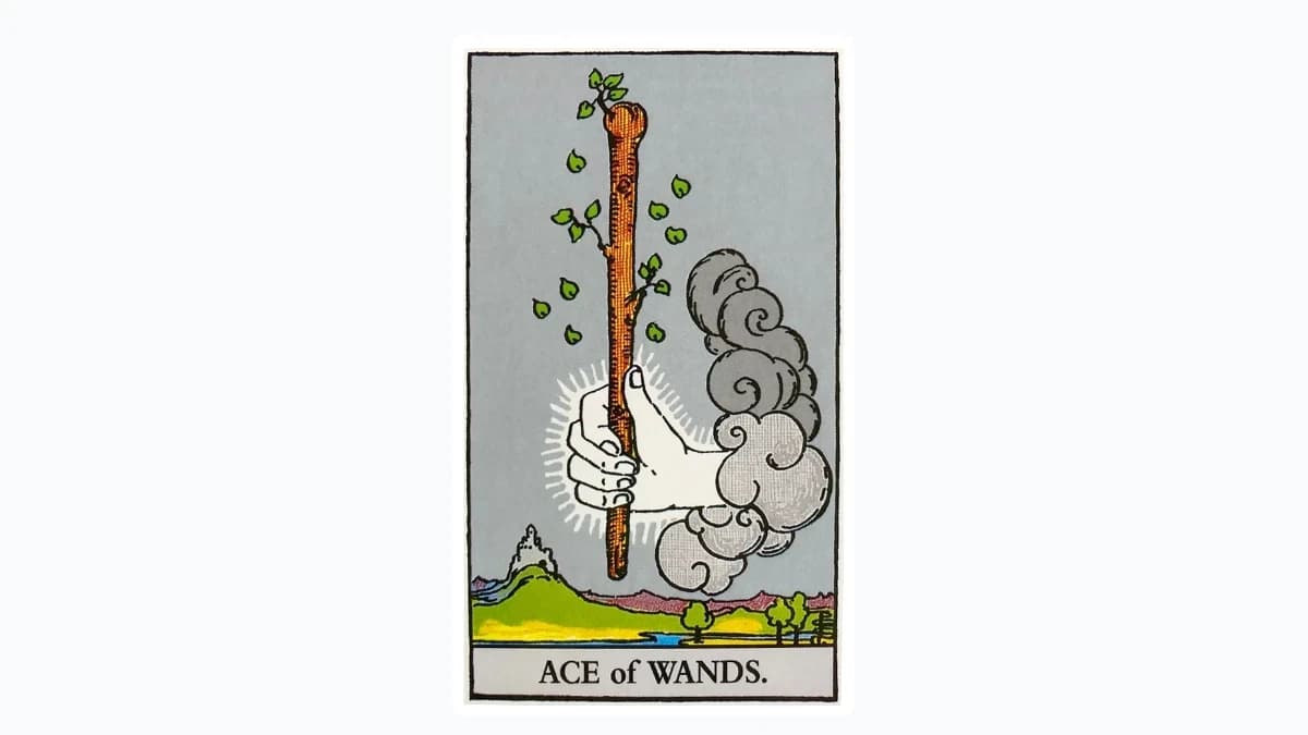 【タロット解説】「ワンドのエース(Ace of Wands)」のカードの意味とは?恋愛・仕事・金運・健康を正位置・逆位置で徹底解説! - content 1